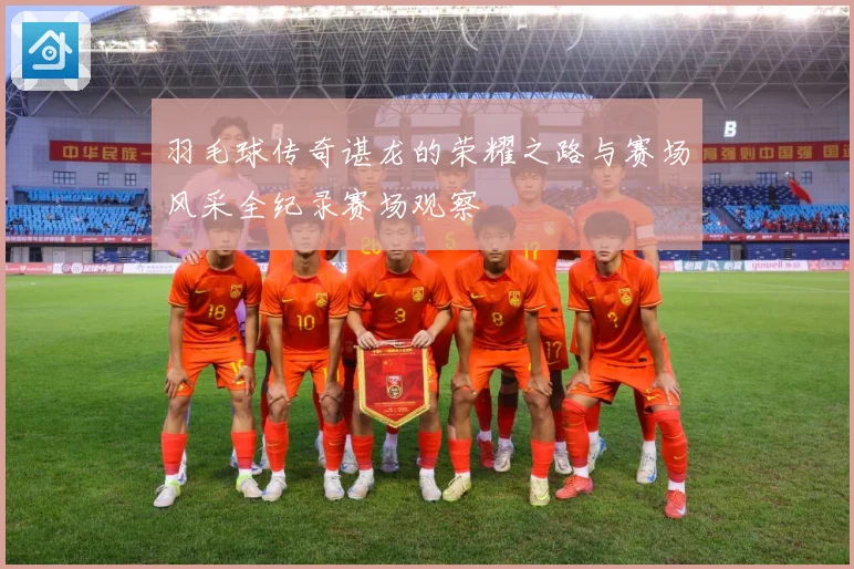 羽毛球传奇谌龙的荣耀之路与赛场风采全纪录赛场观察