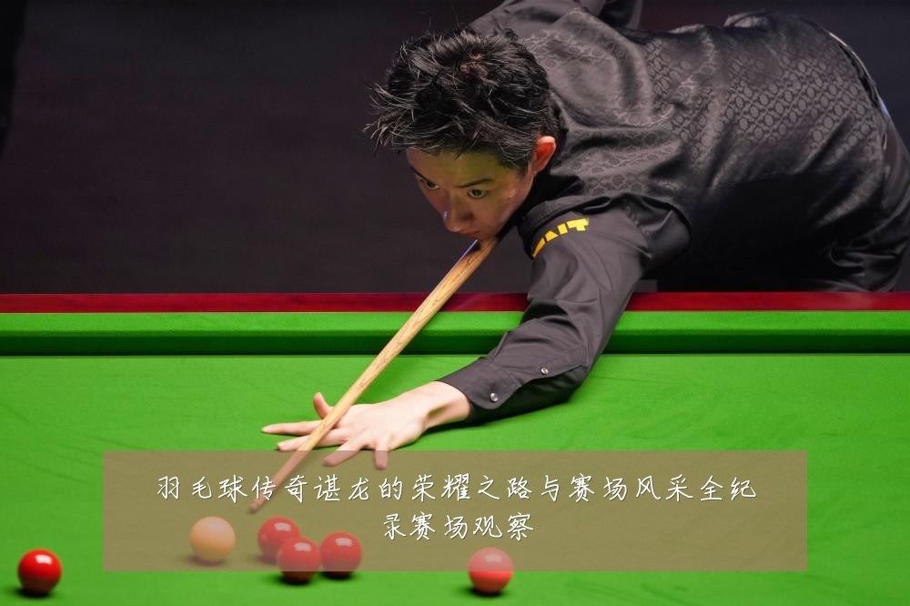 羽毛球传奇谌龙的荣耀之路与赛场风采全纪录赛场观察